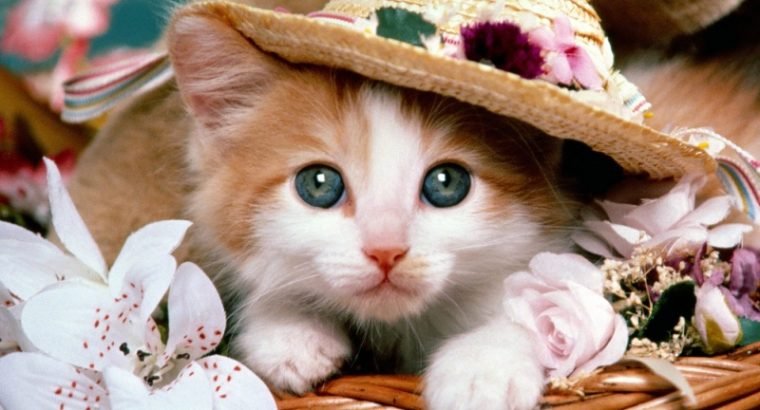 GlowUp Hair Salon & Beauty Makeovers