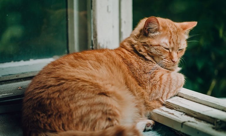 PlayStation 5 (PS5) – Brand...