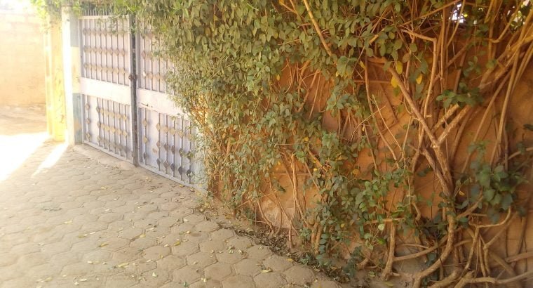 Maison de 200m² à koubia près du CSP al-amine